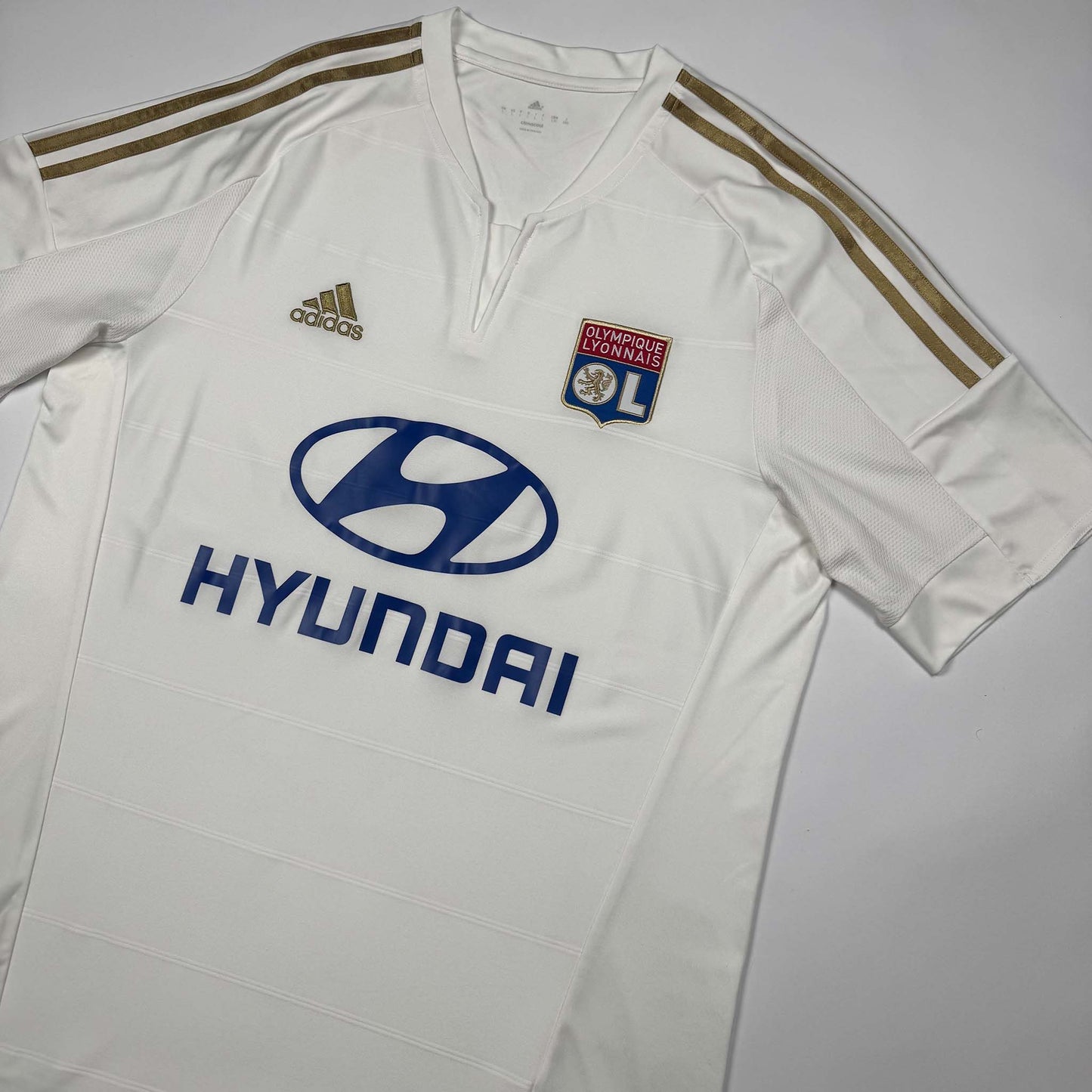Olympique Lyon Ausweich 2015/16 L (10/10)