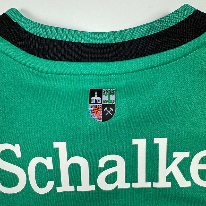 FC Schalke 04 Ausweich 2013/14 Farfan M (9/10)