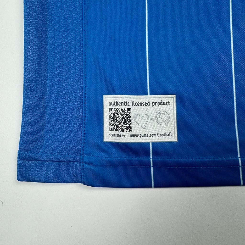 TSG Hoffenheim Heim 2012/13 L Babel (9/10)