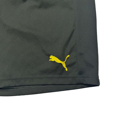 Borussia Dortmund Shorts (Training) 2018/19 L (10/10)