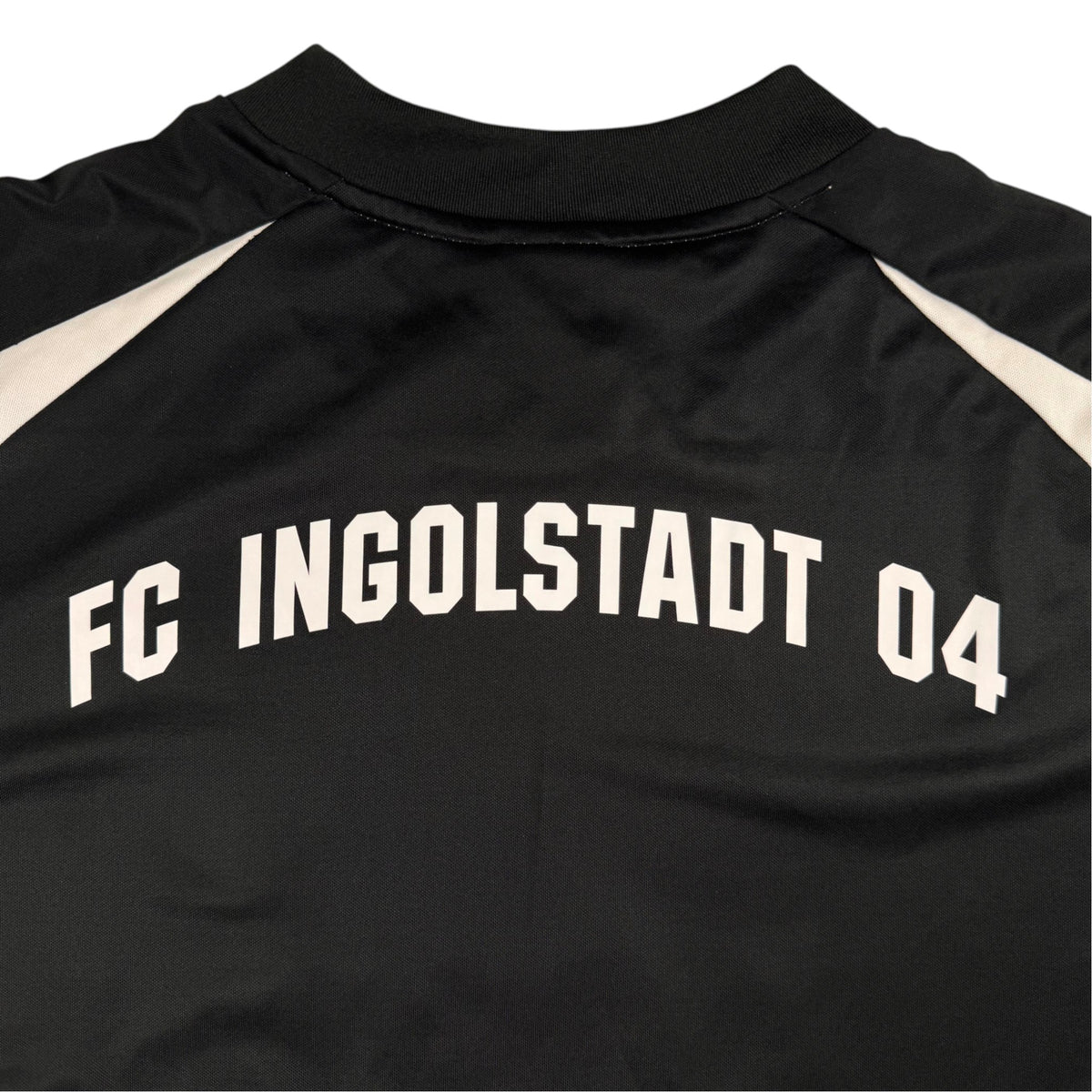 FC Ingolstadt Auswärts 2008-10 L